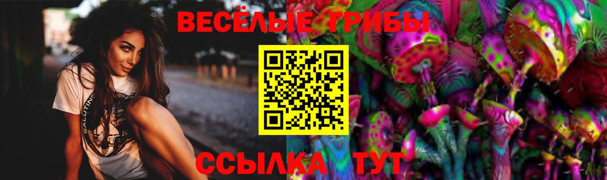 Псилоцибиновые грибы Magic Shrooms  Псилоцибиновые грибы Cubensis  Вход с VPN  Сальск 